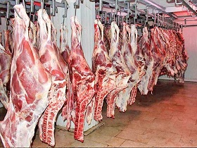 رئیس انجمن صنفی گاوداران: فاصله قیمت گوشت از تولید تا مصرف بسیار زیاد است