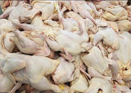 کشف ۳۵۰۰ کیلو مرغ احتکار شده در تهرانسر