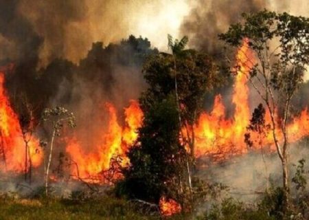 مهار حریق در «نانه ویژه» / بخشی از جنگلهای بکر پاوه در آتش سوخت