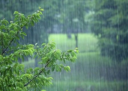 رگبار پراکنده باران در بیشتر نقاط کشور/ وزش باد در شرق