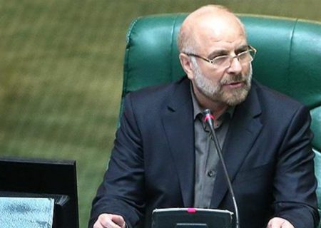ظرفیت زائران ایرانی اربعین باید افزایش یابد
