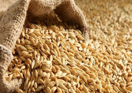 گندم و روغن خام از عمده‌ترین محصولات وارداتی کشاورزی کشور هستند