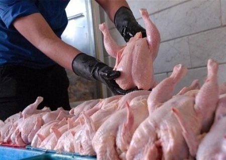 عرضه مرغ با قیمت بالای ۶۰ هزار تومان تخلف است/ ایران هاب صادرات خوراک دام منطقه‌ می‌شود