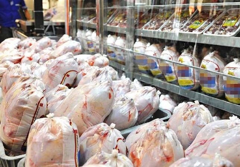 اختلاف چشمگیر قیمت مرغ گرم و منجمد بازار را به تعادل رساند