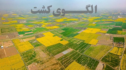 تشکیل کارگروه ملی برای اجرای الگوی کشت