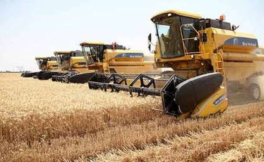 خرید هفت و نیم میلیون تن گندم در کشور
