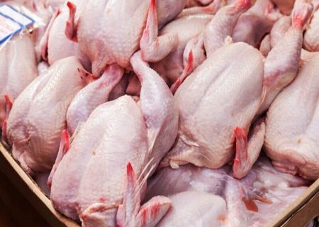 درخواست مرغداران از دولت: توزیع مرغ منجمد را متوقف کنید