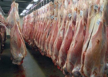 قیمت نهاده های دام عامل گرانی گوشت قرمز است