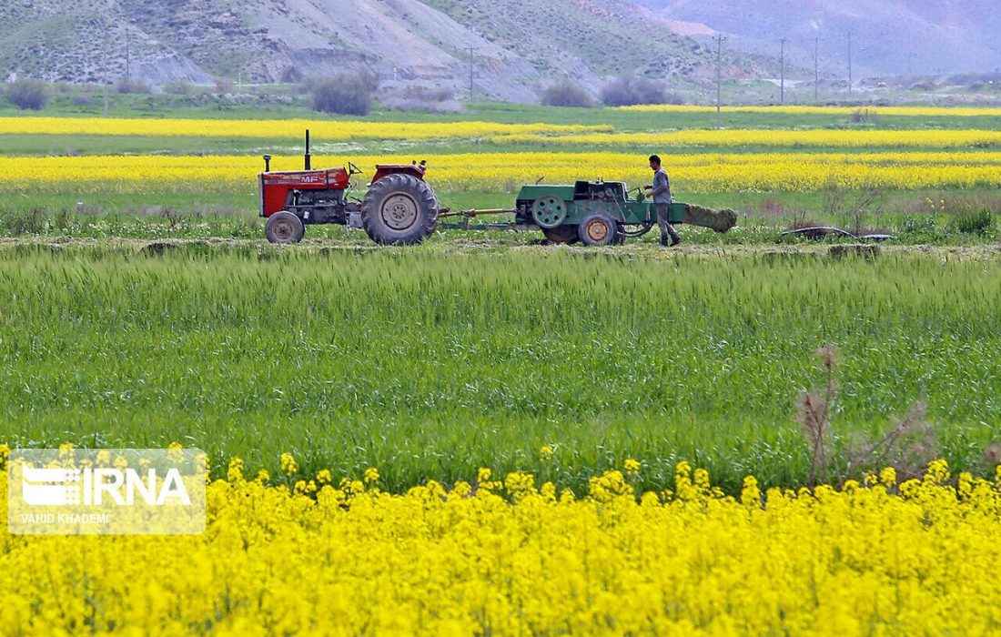 راهی جز اجرای الگوی کشت برای استمرار کشاورزی در ایران نداریم