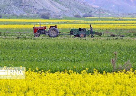 راهی جز اجرای الگوی کشت برای استمرار کشاورزی در ایران نداریم