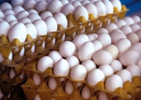 تولید تخم‌مرغ تا پایان آذر به ۱۱۰ هزارتن می رسد