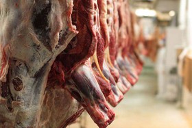 عوامل ۴ گانه در افزایش قیمت گوشت قرمز