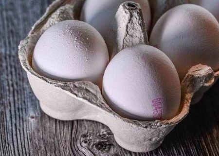 قیمت جدید تخم مرغ در میادین/ هرشانه ۹۰ تا ۹۵هزارتومان
