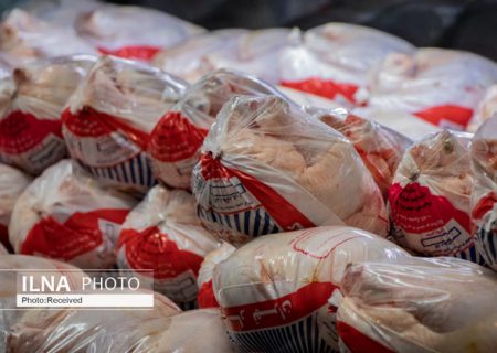 آغاز جمع‌آوری مرغ مازاد با استفاده از تسهیلات تشکل‌ها و اتحادیه‌ها