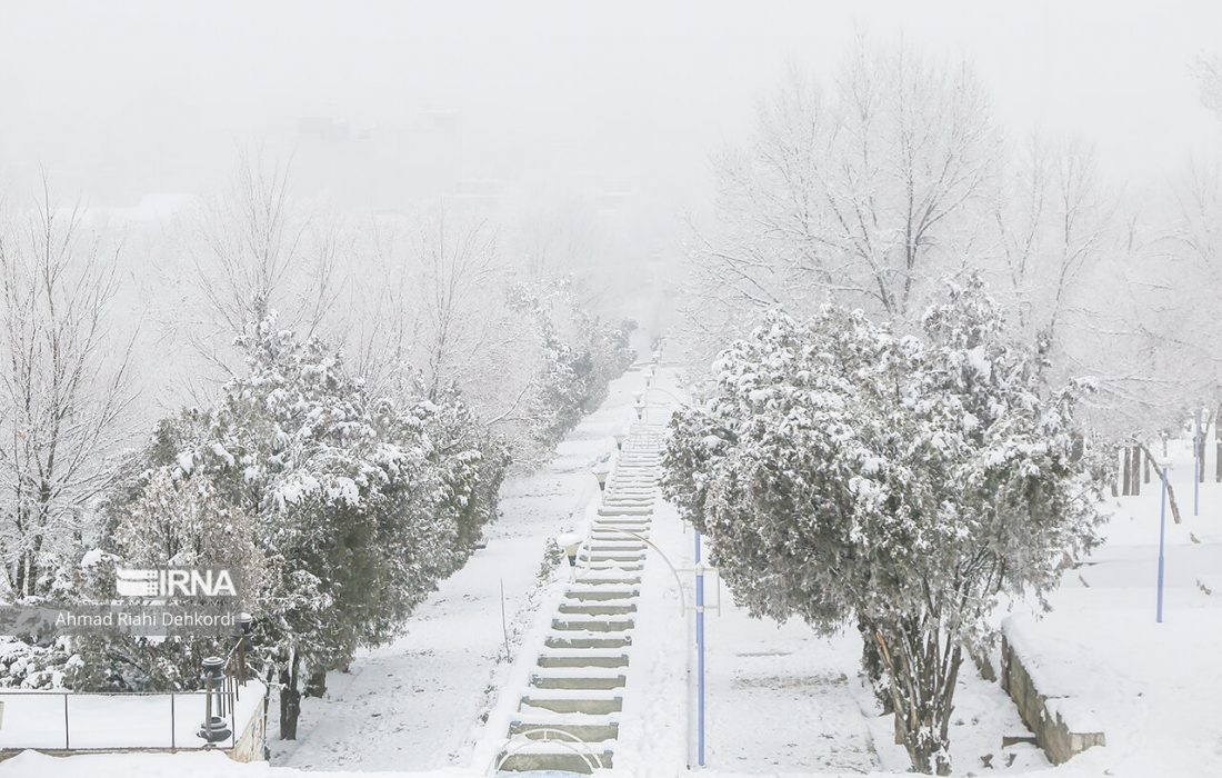 آبعلی با نیم متر برف، رکوردار بارش تهران در شبانه‌روز گذشته