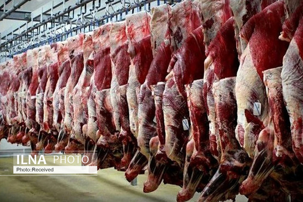 فاصله قیمت گوشت منجمد و گرم به ۱۰۰ هزار تومان رسید/ صادرات دام متوقف شده است