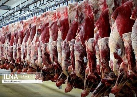 افزایش ۴۰ درصدی قیمت گوشت منجمد/ نرخ دام زنده به ۱۱۰ هزار تومان رسید/ کاهش مصرف چشمگیر است