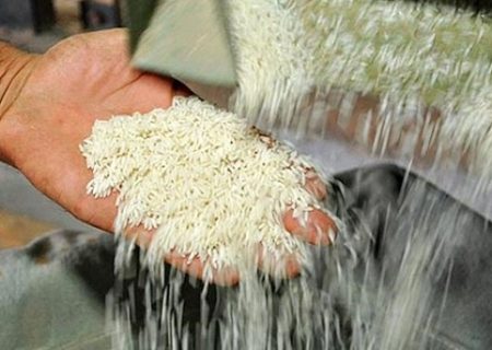 قیمت انواع برنج ایرانی در میادین میوه و تره بار تهران به همراه نرخنامه
