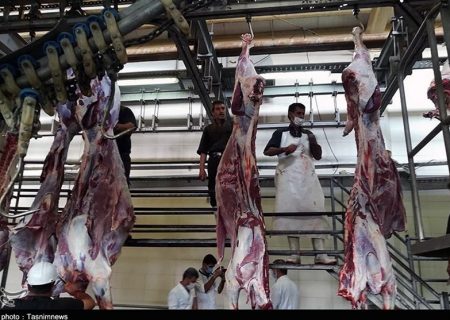 دلیل گرانی گوشت قرمز مشخص شد/ عرضه در بهمن ماه ۲۴ درصد کاهش یافت