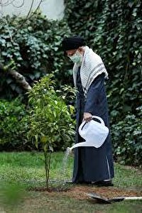 گرامیداشت روز درختکاری از سوی رهبر معظم انقلاب اسلامی با کاشت یک اصله نهال