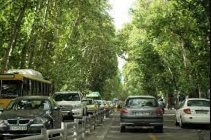 درختان جدید جایگزین درختان فرسوده خیابان ولیعصر می‌شود