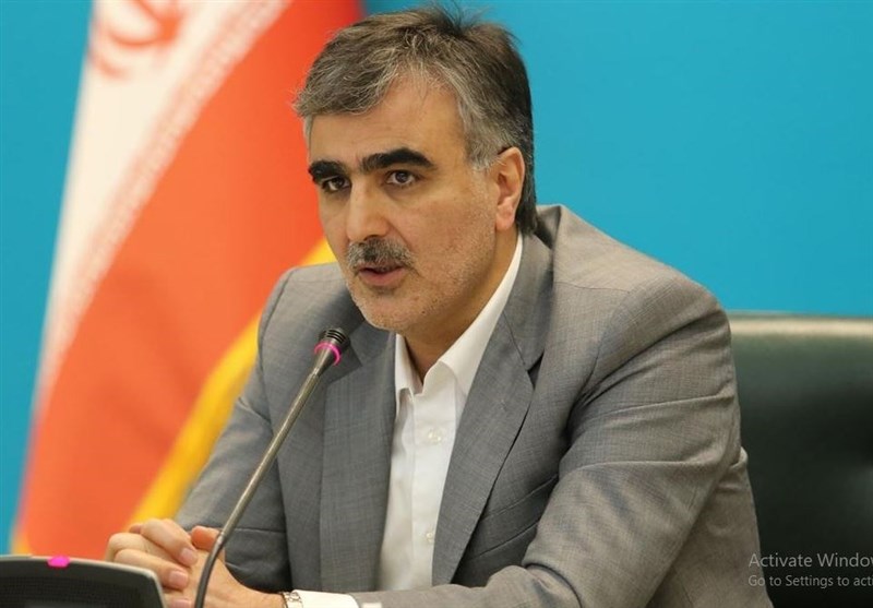 فرزین: صندوق تثبیت ارزی بهزودی راهاندازی میشود/ طراحی ریال آف شور برای استفاده در بازارهای افغانستان و عراق