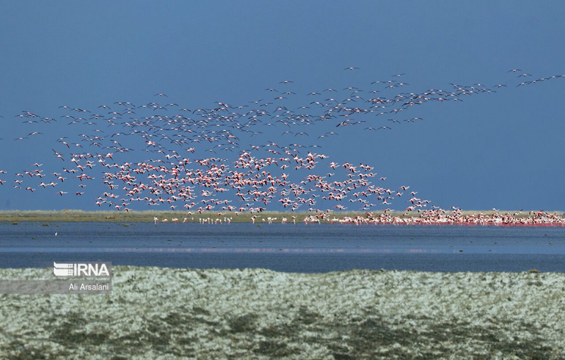 طرح انتقال آب به دریاچه ارومیه موفقیت‌آمیز بوده است