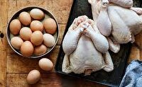 مرغ حداکثر ۷۳ هزار تومان و هر شانه تخم‌مرغ در حدود ۱۰۰ هزار تومان