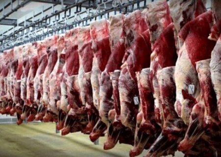 ریزش شدید قیمت لاشه گوسفندی/ حجم قاچاق دام به کشورهای حاشیه خلیج فارس بالاست