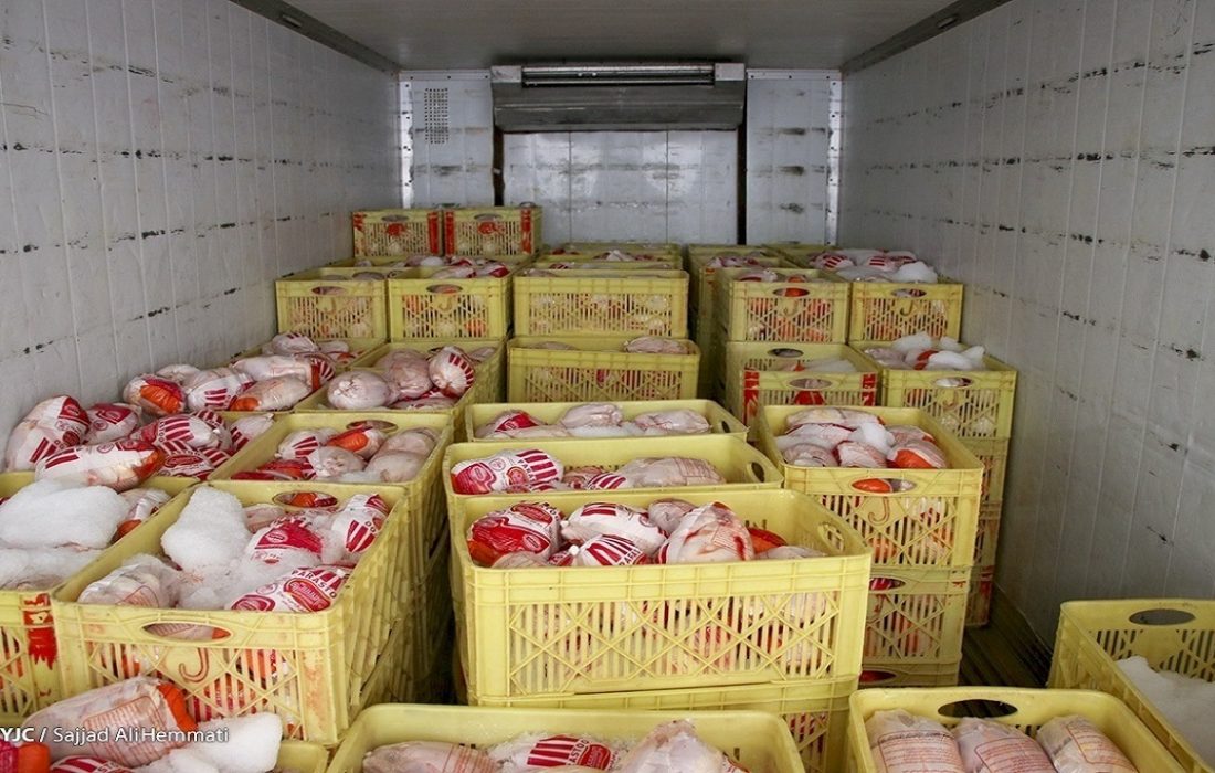 نیاز به برنامه‌ریزی مناسب، برای صادرات مرغ مازاد تولید کشور