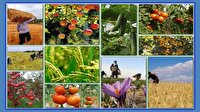 فهرست ۳۵ محصول کشاورزی برای دریافت عوارض صادرات آب مجازی