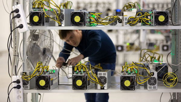 مالکان ماینرها حکم برائت گرفتند/ شرط تحویل ماینرها استفاده از مزارع شخصی است