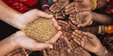 تهدید جدید برای تورم جهانی موادغذایی