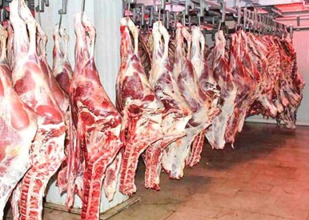 اجرای طرح تولید قراردادی گوشت قرمز در کشور با ظرفیت‌ ۴۰ هزار تن