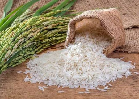 تامین حدود ۸۰۰ هزار تن کسری برنج از طریق واردات