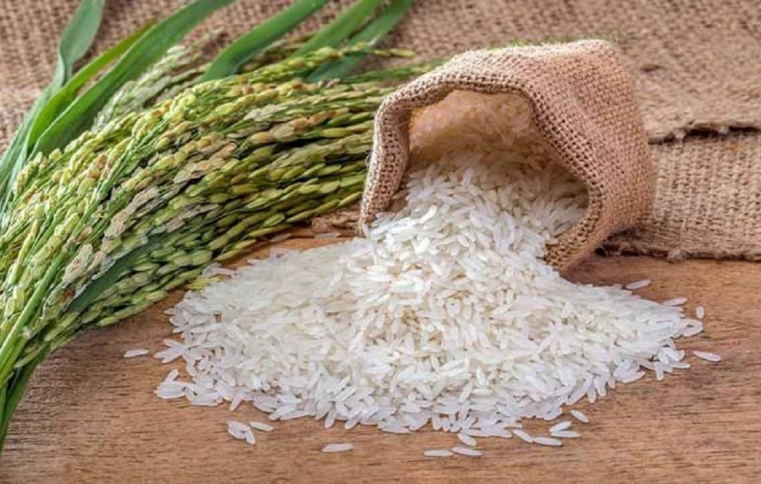 سرانه مصرف برنج به ۳۴ کیلو رسید