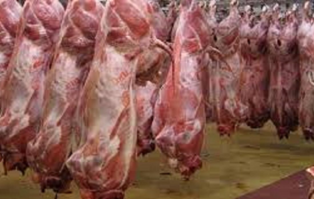 واردات گوشت گرم و منجمد به ۵۹ هزار تن رسید