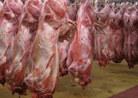 واردات گوشت گرم و منجمد به ۵۹ هزار تن رسید