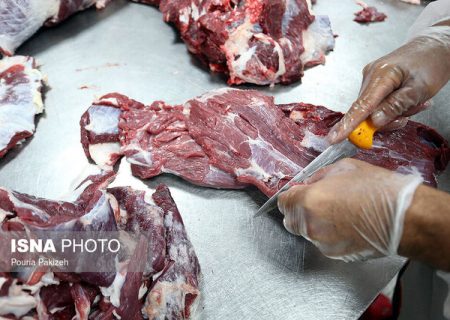 کمبود دام نداریم/ نهاده‌های دامی و واسطه‌ها عوامل افزایش قیمت گوشت