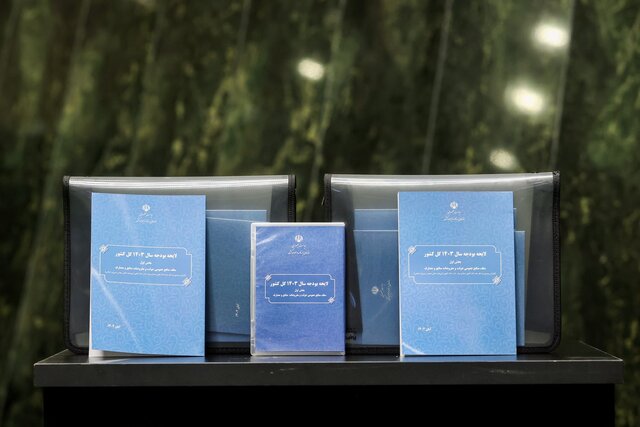 حسابهای فرعی کلیه دستگاههای اجرایی در سال آینده مسدود میشود