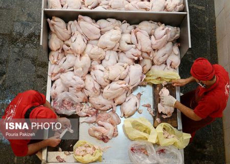 ابلاغ قرارداد خرید آتی تولید مرغ به استان‌ها/ نگرانی از بابت تامین مرغ نداریم