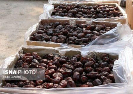 ذخیره‌سازی ۹۰۰ تن خرما برای ماه رمضان/ عوارض صادراتی خرما ۵۰ درصد شد