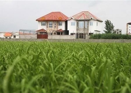 آزادسازی ساخت مسکن در اراضی کشاورزی تکذیب شد