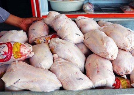 صادرات مرغ بیش از ۶۰۰ میلیون دلار ارزآوری دارد