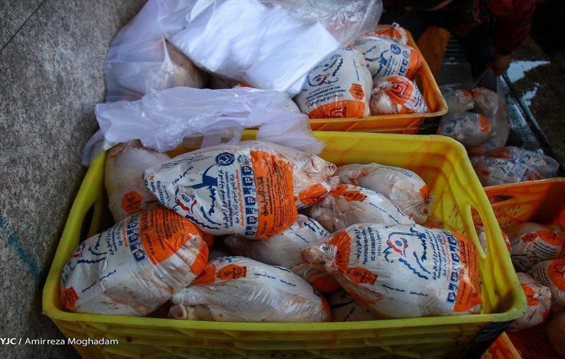 ضرورت جمع آوری ماهانه ۲۰ هزارتن مرغ از سطح بازار