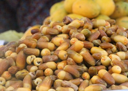 ۸۲ کشور خریدار خرمای ایرانی/ خرمای مضافتی در صدر صادرات خرما از ایران