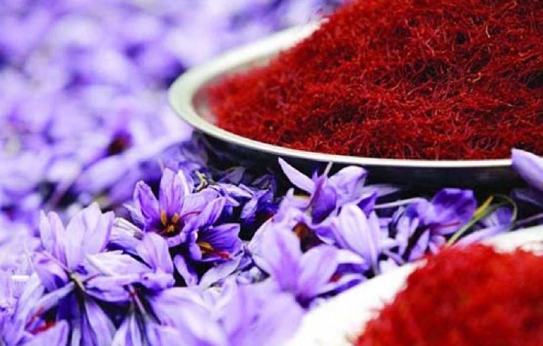 پتانسیل تولید هزار تن زعفران در کشور وجود دارد