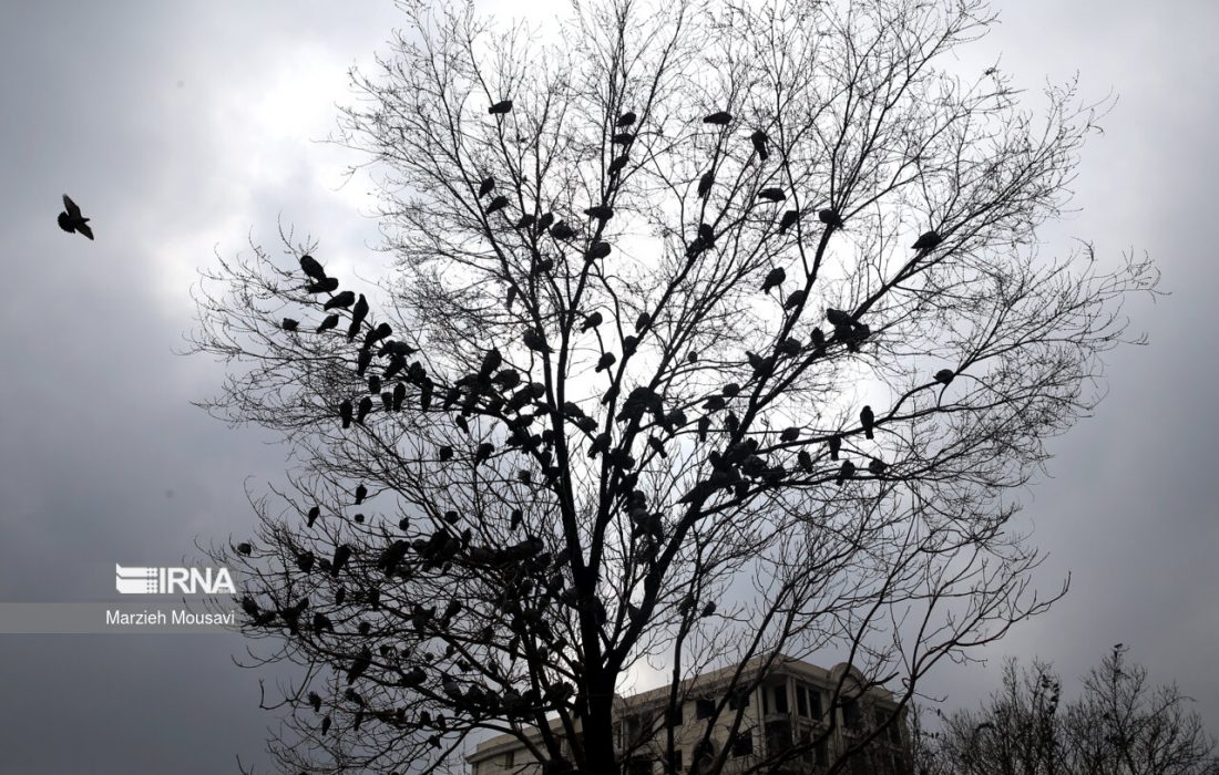 رگبار، رعدوبرق و وزش باد در بیشتر استان‌ها طی امروز و فردا