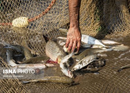 از صید با «برق» تا ماهی‌گیری با «سم»/ لزوم تدوین جریمه‌های بازدارنده برای صیادان متخلف