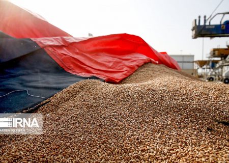 مجوز واردات برنج و نهاده‌ها به افراد خاص منجر به انحصار می‌شود